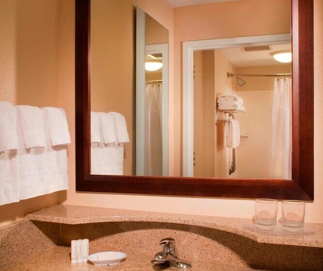 Люкс, Springhill Suites Gainesville