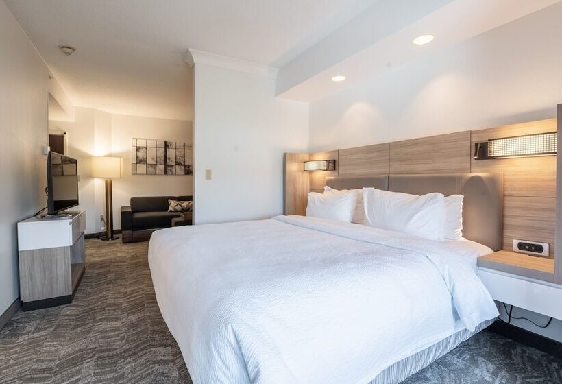 Люкс, Springhill Suites Gainesville