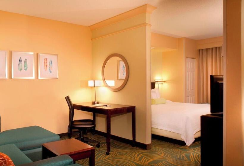 Люкс, Springhill Suites Gainesville