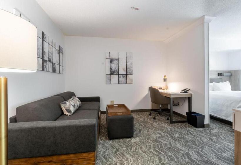 Люкс Кровать Кинг, Springhill Suites Gainesville