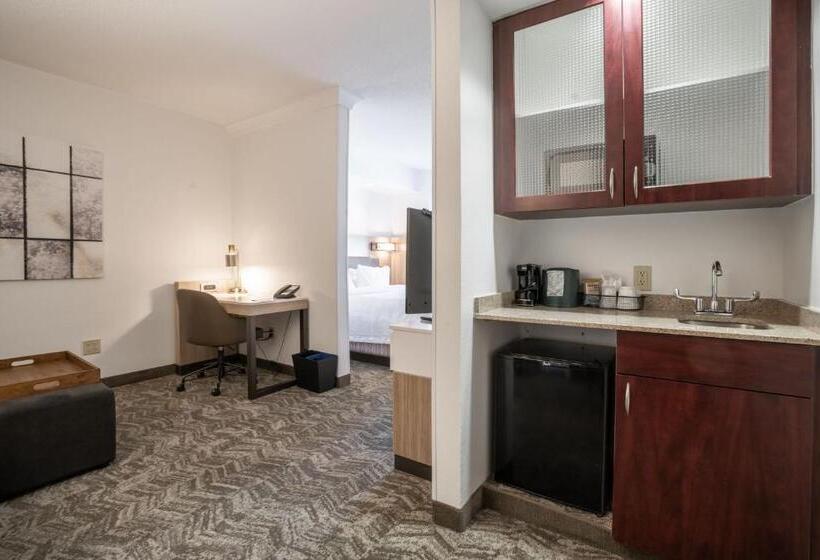 Люкс, Springhill Suites Gainesville