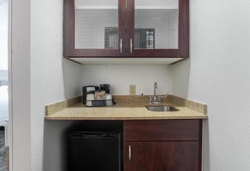 Люкс, Springhill Suites Gainesville