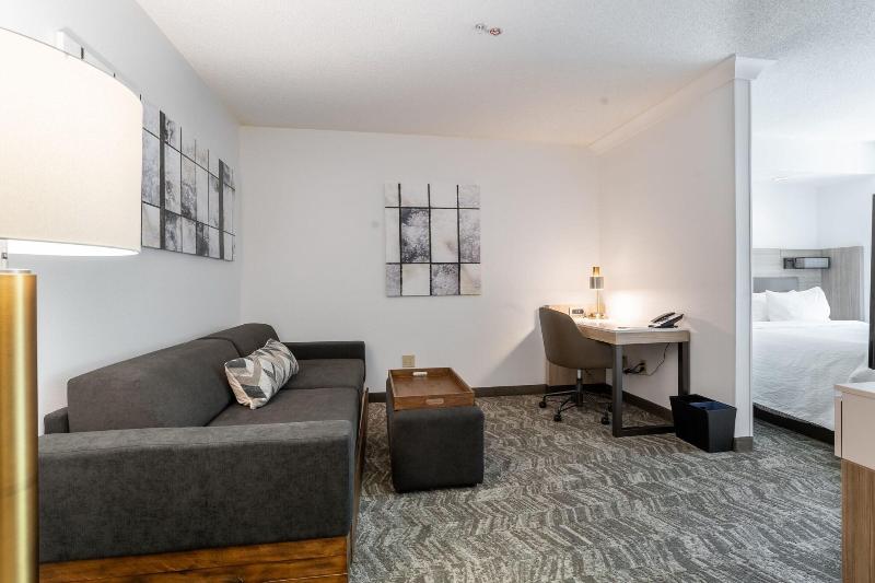 Люкс, Springhill Suites Gainesville