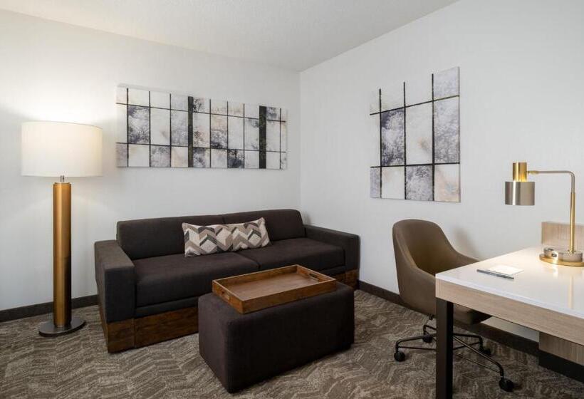 Люкс Кровать Кинг, Springhill Suites Gainesville