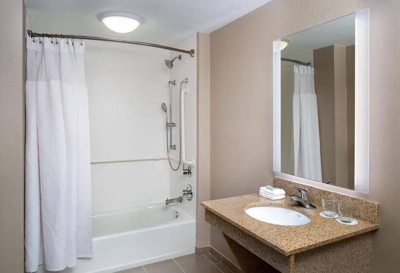 Люкс, Springhill Suites Gainesville