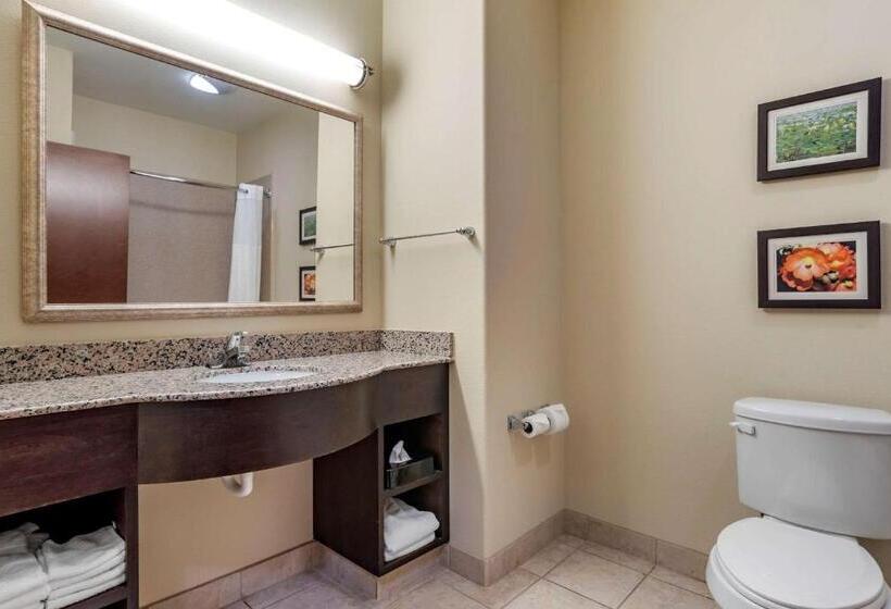 Люкс Кровать Кинг, Comfort Inn & Suites Scott West Lafayette