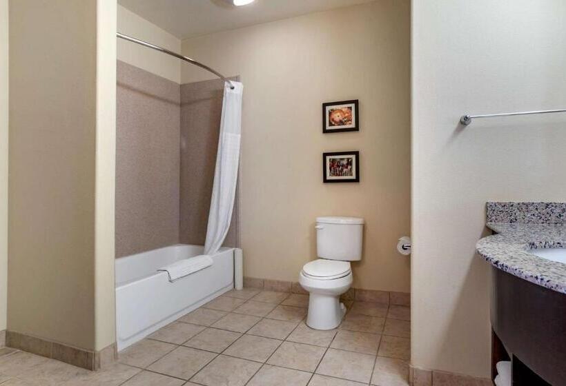Люкс Superior, Comfort Inn & Suites Scott West Lafayette