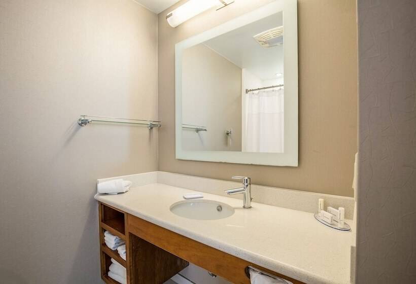 Люкс Адаптированный для Инвалидов, Springhill Suites By Marriott Houston Rosenberg