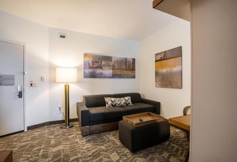 Студия Стандарт, Springhill Suites By Marriott Houston Rosenberg