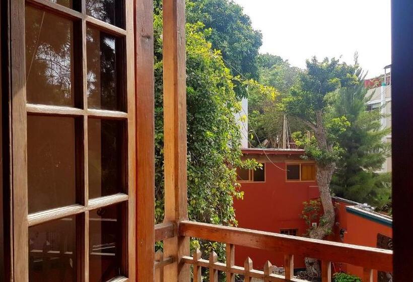 اتاق استاندارد با چشم‌انداز باغ, Second Home Peru