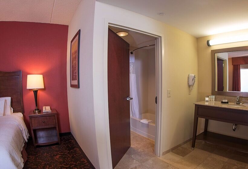 Студия Стандарт, Hampton Inn & Suites Woodstock, Va