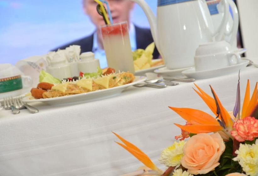 اتاق اجرایی, Golden Carthage Hotel Tunis