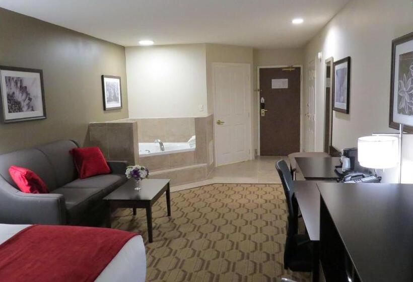 带大床的套房, Best Western Palmyra Inn & Suites