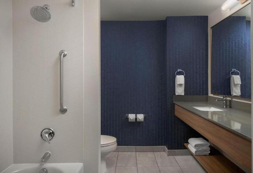 Люкс Executive Кровать Кинг, Fairfield Inn & Suites Roanoke Hollins/i81