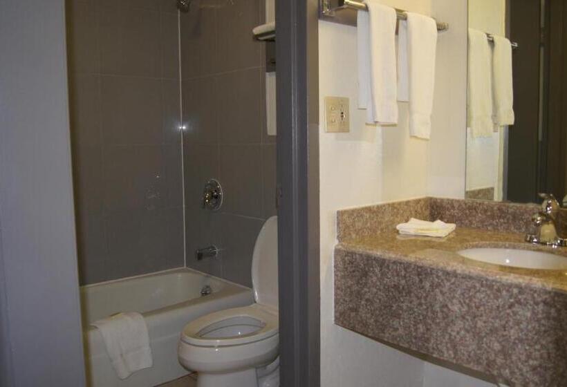 스탠다드 룸 킹사이즈 침대, Executive Inn