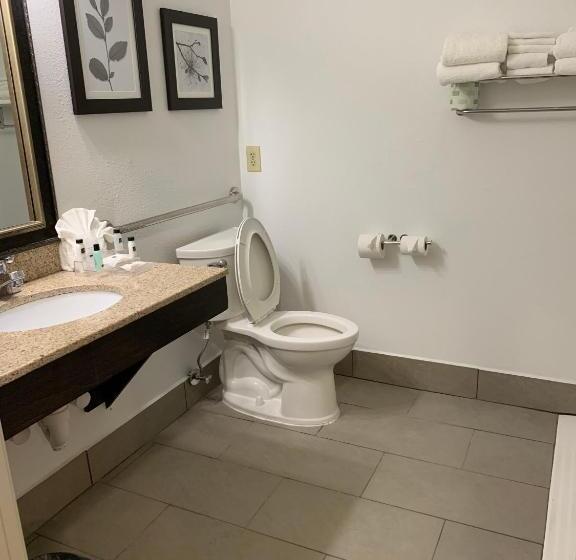适合残疾人使用的标准间, Country Inn & Suites By Radisson, Georgetown, Ky