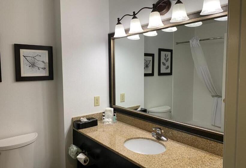 带大床的复式套间, Country Inn & Suites By Radisson, Georgetown, Ky