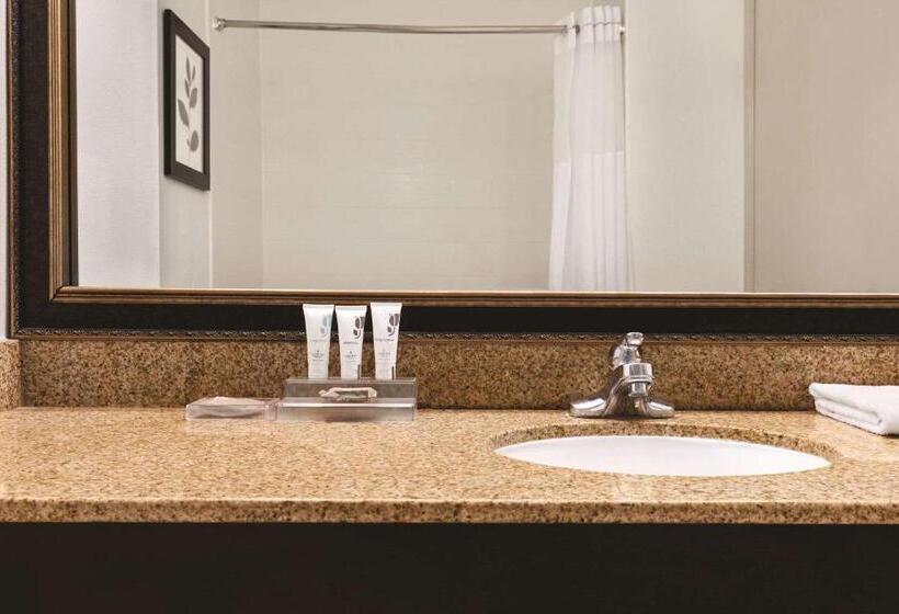 带大床的标准间, Country Inn & Suites By Radisson, Georgetown, Ky