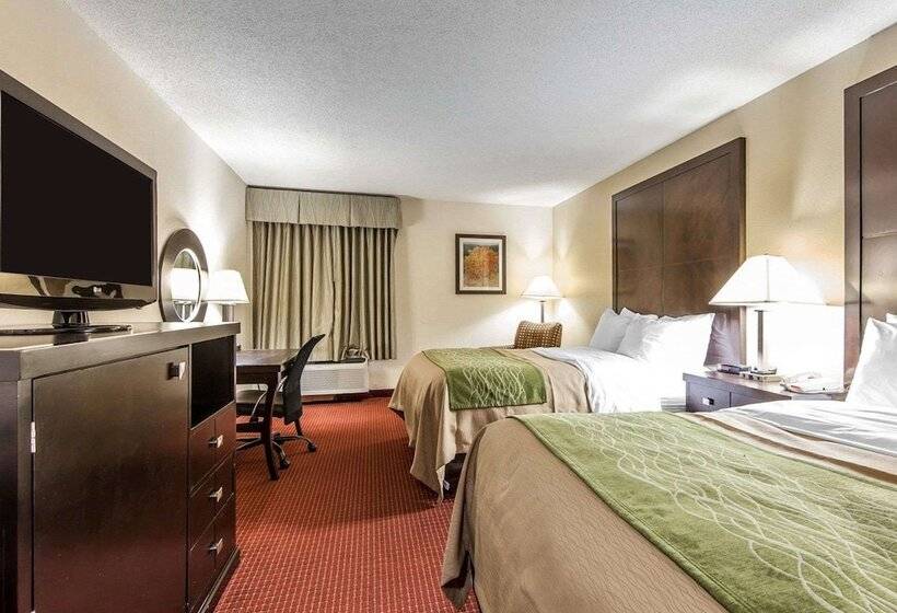 Номер Стандарт 2 Двуспальные Кровати, Quality Inn & Suites