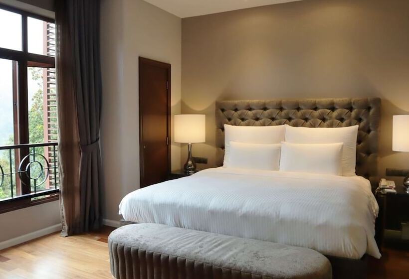 Люкс, The Chateau Spa & Wellness Resort