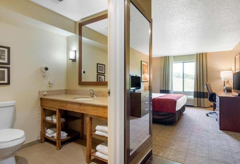 Стандартный Номер Кровать Кинг, Comfort Inn & Suites Cooperstown   Milford