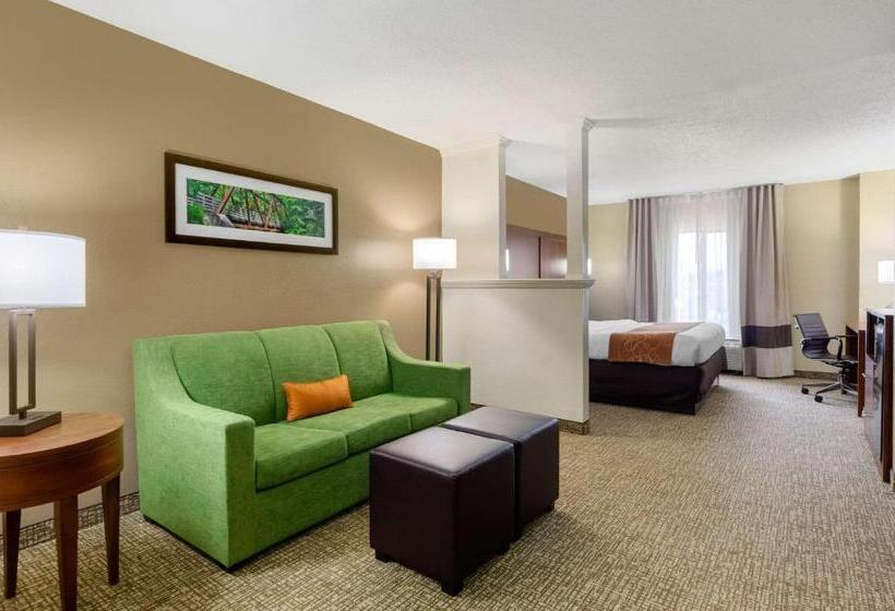스위트 킹사이즈 침대, Comfort Suites Abingdon I81