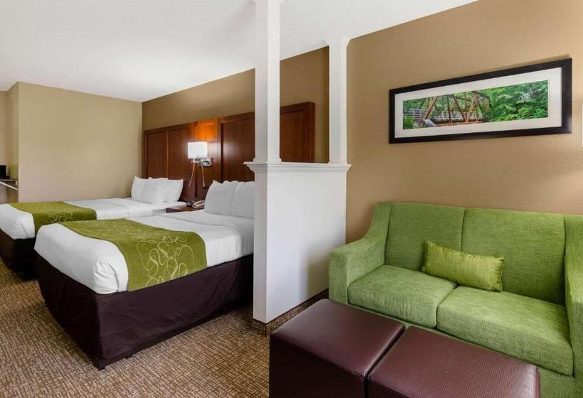 스탠다드 룸, Comfort Suites Abingdon I81