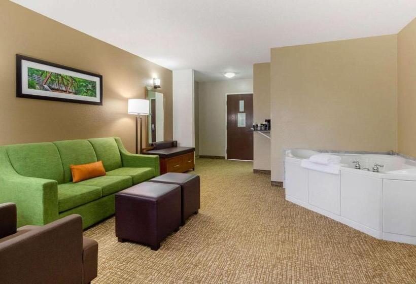 스위트 킹사이즈 침대, Comfort Suites Abingdon I81