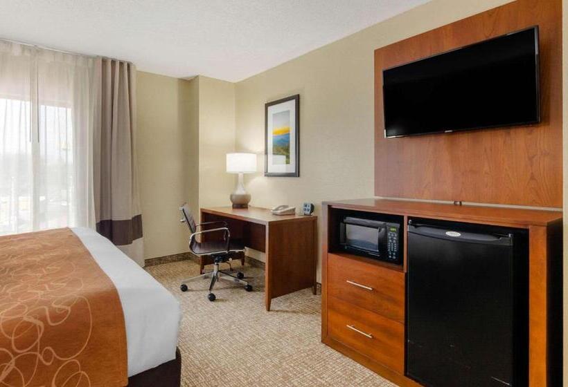 장애인을 위한 스위트, Comfort Suites Abingdon I81