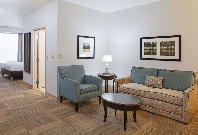 Люкс, Hilton Garden Inn Jonesboro