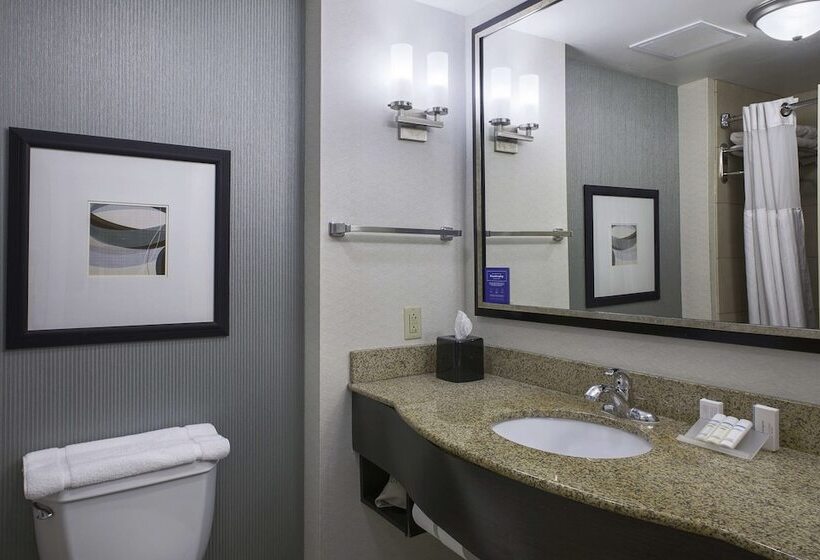 Люкс, Hilton Garden Inn Jonesboro
