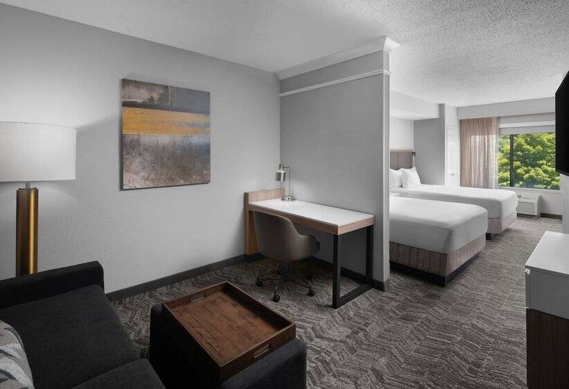 스위트, Springhill Suites By Marriott Grand Rapids Airport Southeast