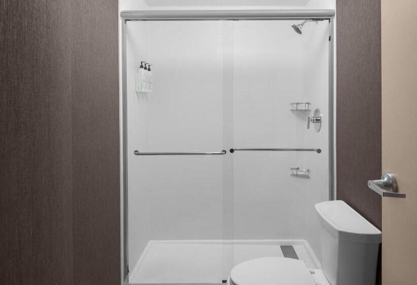 스위트 킹사이즈 침대, Springhill Suites By Marriott Grand Rapids Airport Southeast