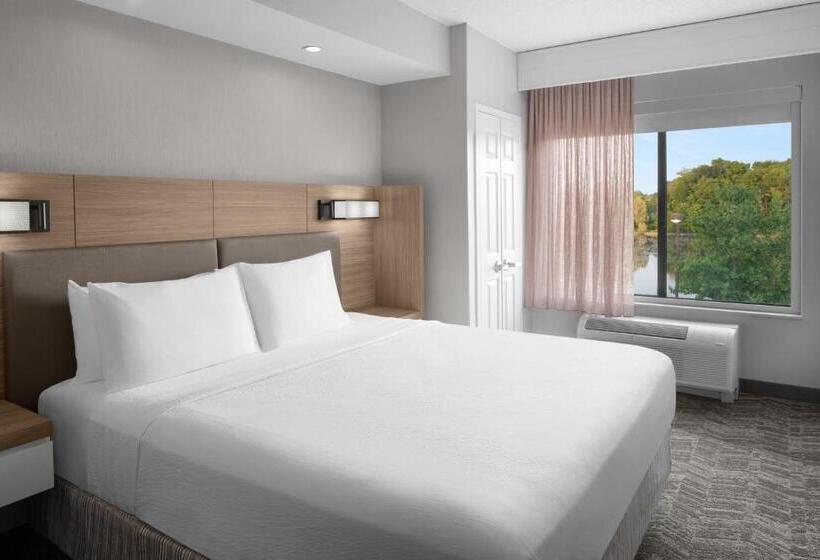 스위트 킹사이즈 침대, Springhill Suites By Marriott Grand Rapids Airport Southeast