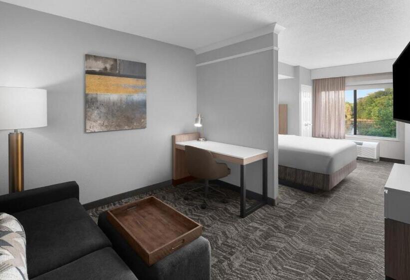 스위트 킹사이즈 침대, Springhill Suites By Marriott Grand Rapids Airport Southeast