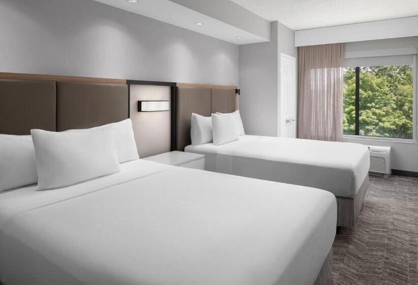 스위트, Springhill Suites By Marriott Grand Rapids Airport Southeast