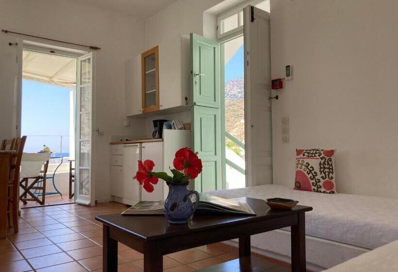 带1个卧室的带海景的公寓, Alkyonis Villas