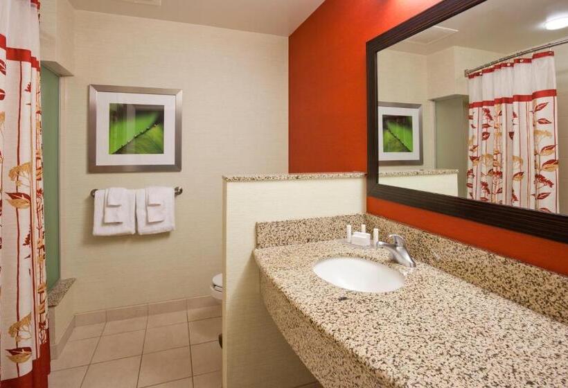 Стандартный Номер Кровать Кинг, Courtyard Minneapolis Maple Grove Arbor Lakes