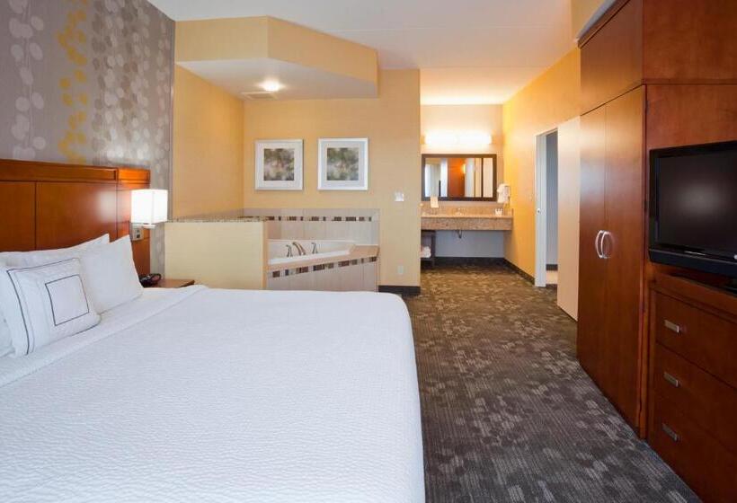 غرفة قياسية سرير كينج, Courtyard Minneapolis Maple Grove Arbor Lakes