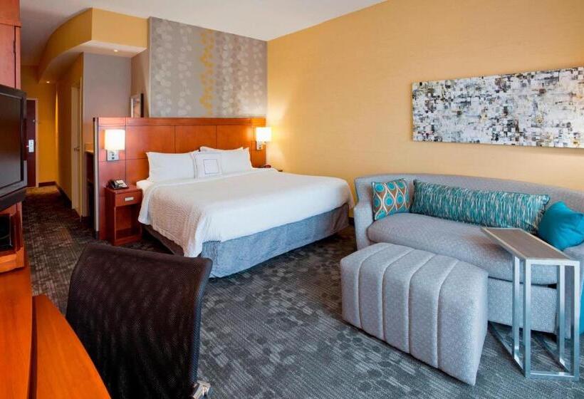 غرفة قياسية سرير كينج لذوى الإحتياجات الخاصة, Courtyard Minneapolis Maple Grove Arbor Lakes