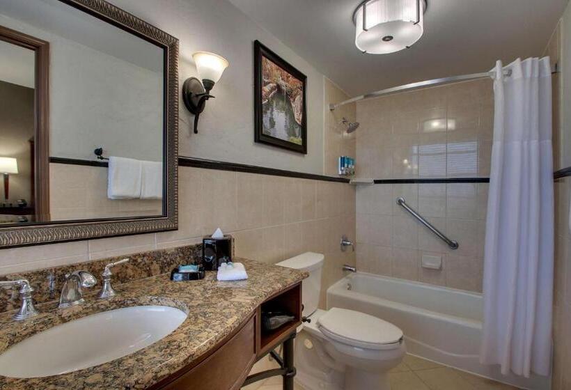 Chambre Deluxe King Size, Drury Plaza Hotel San Antonio Riverwalk