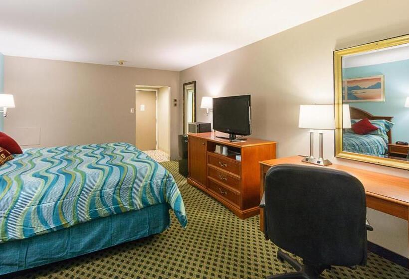 اتاق استاندارد با تخت بزرگ, Rodeway Inn Milford  I84