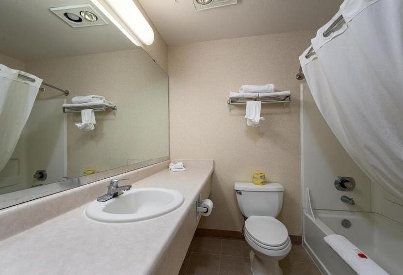 Стандартный Номер Кровать Кинг, Three Rivers Inn Sedro Woolley