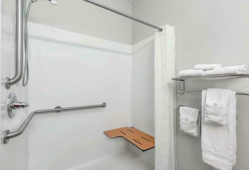 Номер Deluxe Адаптированный для Инвалидов, Microtel Inn & Suites By Wyndham Hoover/birmingham