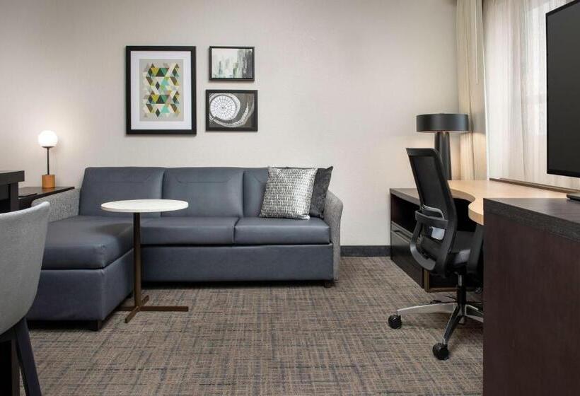 Студио Стандарт Кровать Кинг, Residence Inn Birmingham Hoover