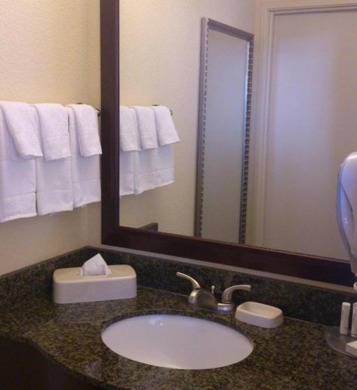 Люкс, Springhill Suites Ridgecrest