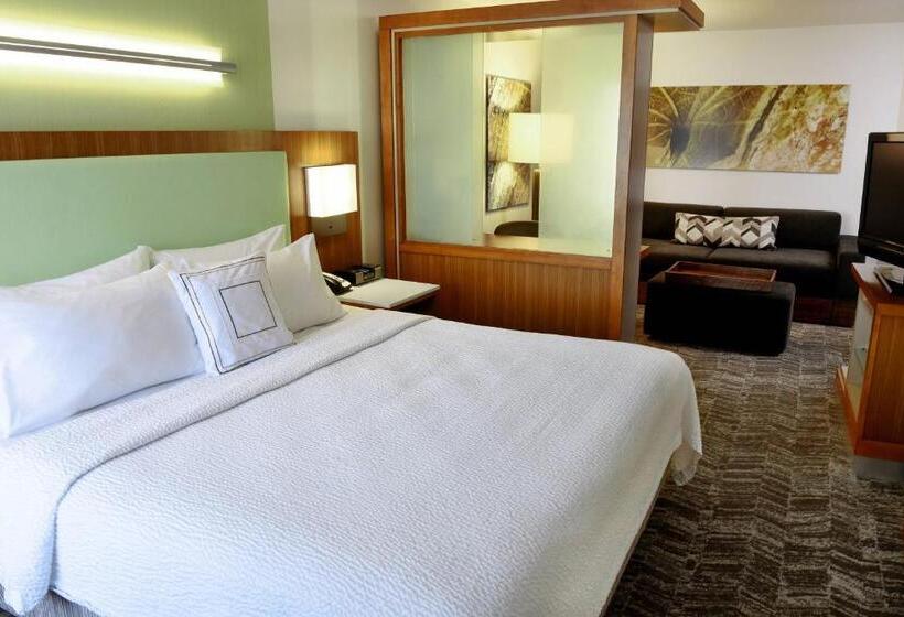 Стандартный Номер Кровать Кинг, Springhill Suites By Marriott Sioux Falls