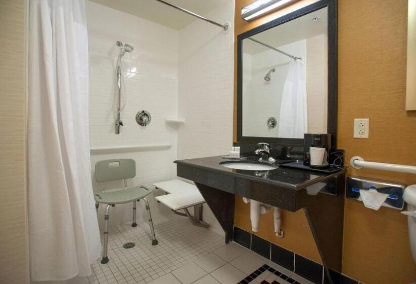 キングサイズベッドのスタンダードルーム, Fairfield Inn & Suites Orange Beach