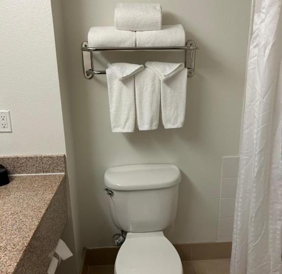 带大床的套房, Holiday Inn & Suites   Barstow, An Ihg