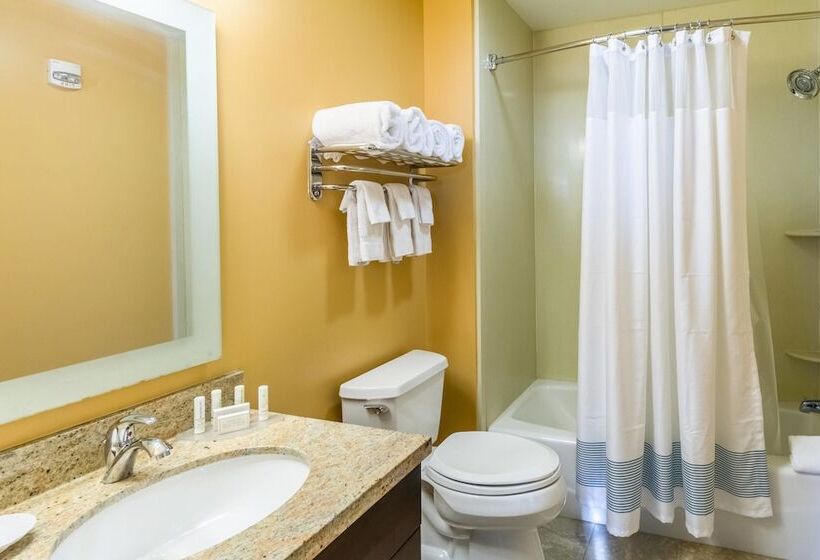 Люкс 2 Спальни, Towneplace Suites Dayton North